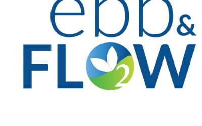 Ebb and Flow- 3 great reasons to do a Yoga Flow Class