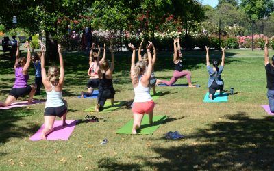 Yoga In The Vineyard At Church & State Winery with Oxygen Saanich