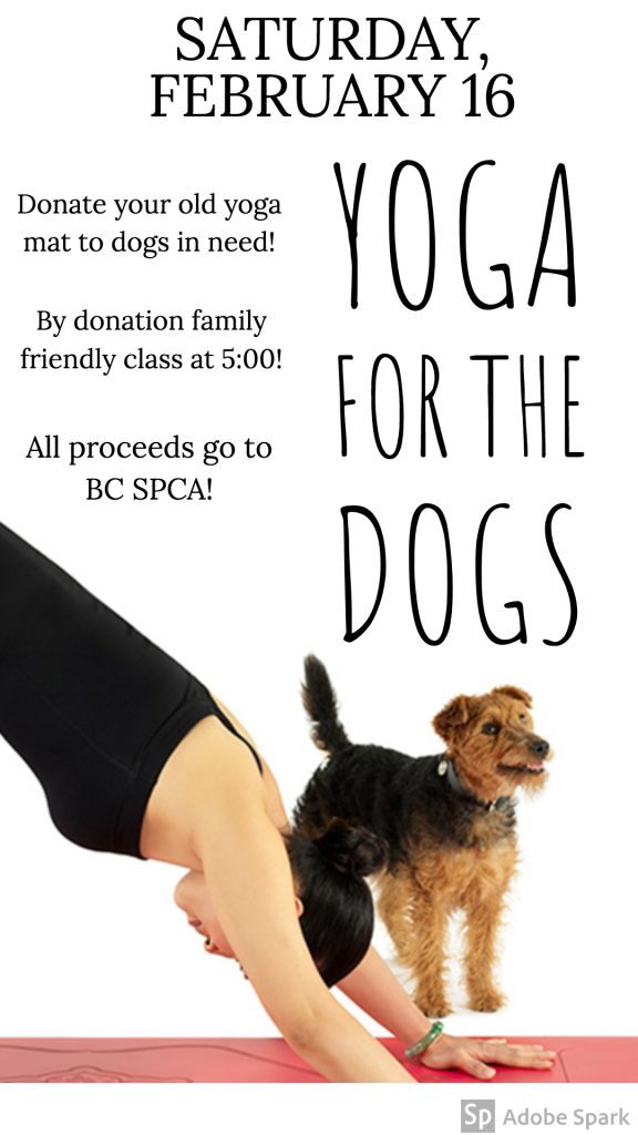 Yoga For The Dogs - Oxygen Yoga Fitness