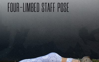 Pose of the Week Guide: Four Limbed Staff Pose