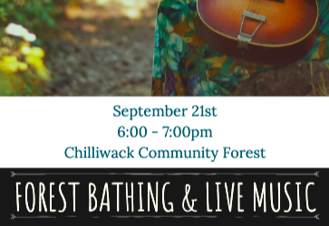Forest bathing and Live Music Flow – Chilliwack
