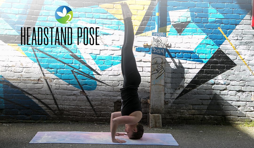 The pose of the week this week is Teddy Bear Pose 🧸 or “SIRSASANA II” this  pose is not a “true yoga pose” however it is a great modification for... |  By