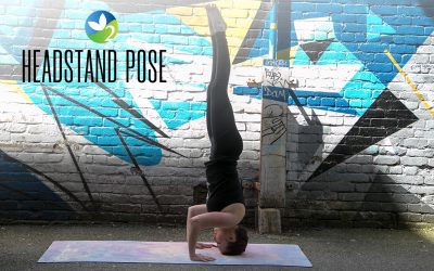 Pose of the Week Guide: Teddy Bear Pose