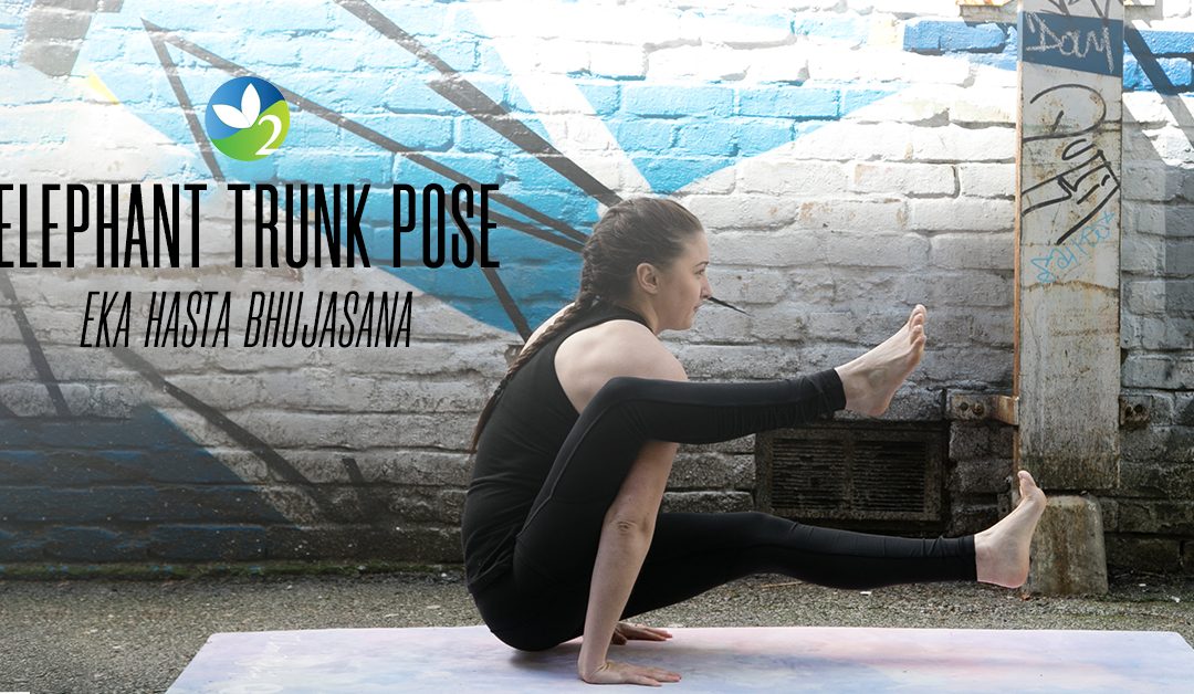 Pose of the Week Guide: Elephant Trunk Pose