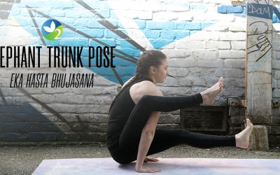 Pose of the Week Guide: Elephant Trunk Pose