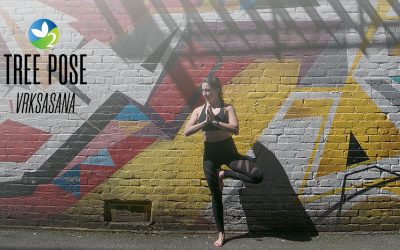 Pose of the Week Guide: Tree Pose