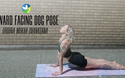 Pose of the Week Guide: Upward-Facing Dog Pose