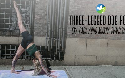 Pose of the Week Guide: Three-Legged Dog Pose