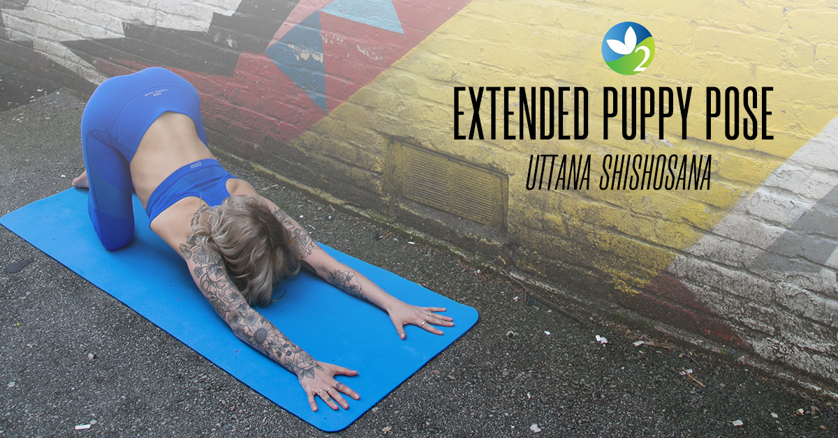 Extended Puppy Pose (Uttana Shishosana) - Yoga Pose