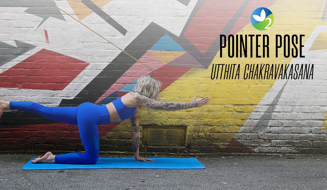 Pose of the Week Guide: Pointer Pose