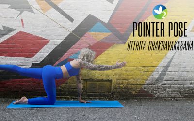 Pose of the Week Guide: Pointer Pose