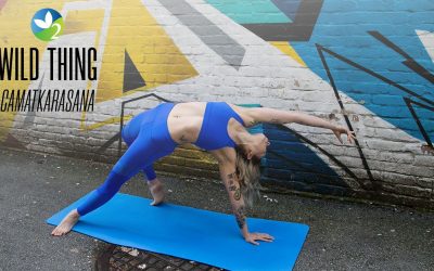 Pose of the Week Guide: Wild Thing Pose