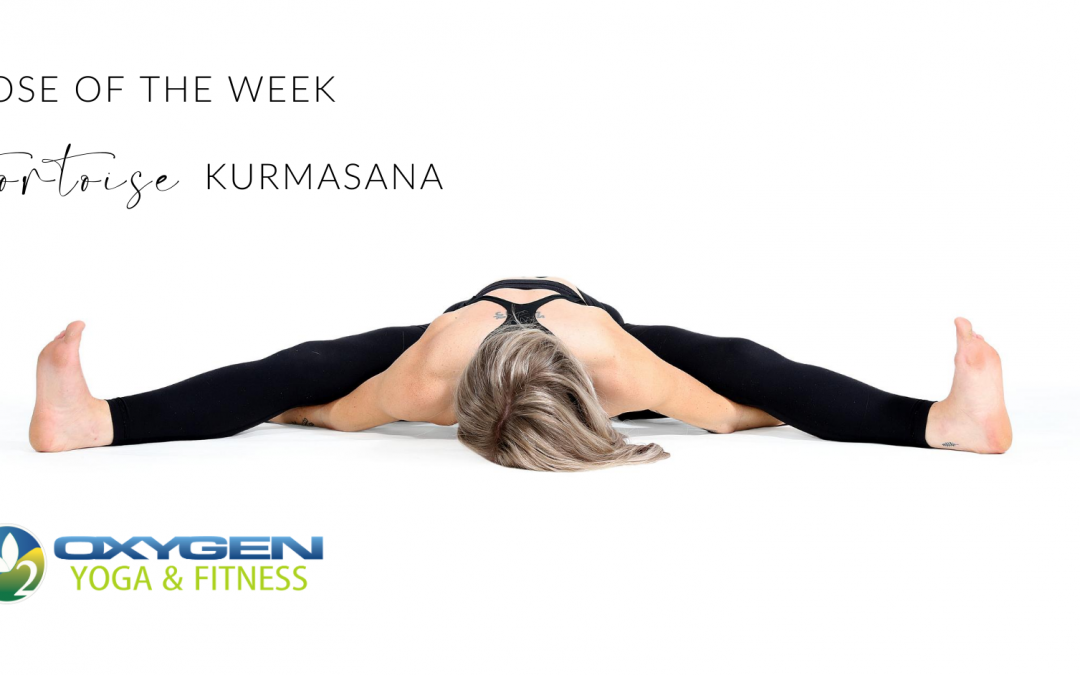 Pose Of The Week Guide Kurmasana Tortoise Oxygen Yoga Fitness