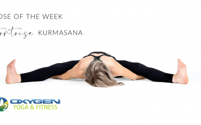 Pose of the Week Guide: Kurmasana/ Tortoise