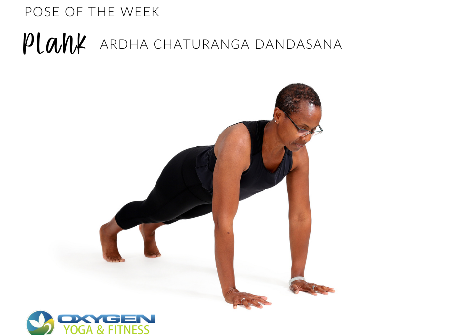 Four Limbed Staff Pose (Chaturanga) Instructions & Photos • Yoga Basics