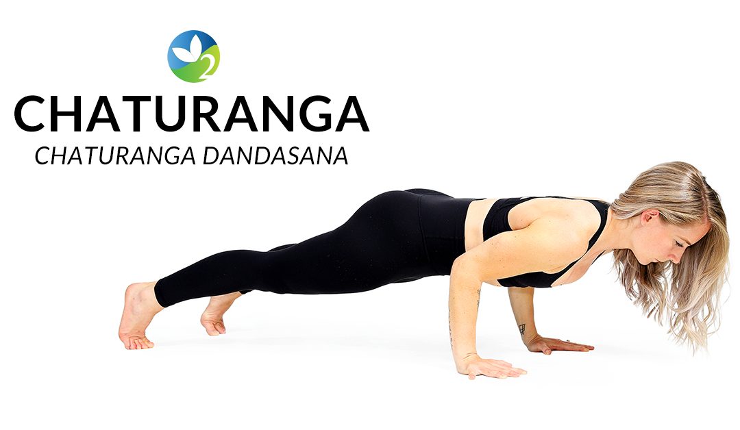 Chaturanga Dandasana