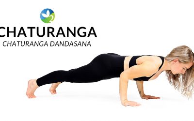 Pose of the Week Guide: Four Limbed Staff Pose (Chaturanga Dandasana)