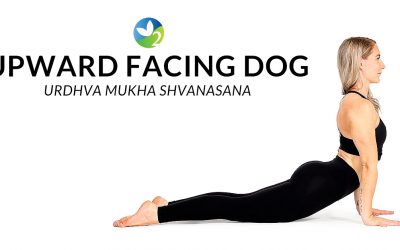 Pose of the Week Guide: Upward Facing Dog Pose