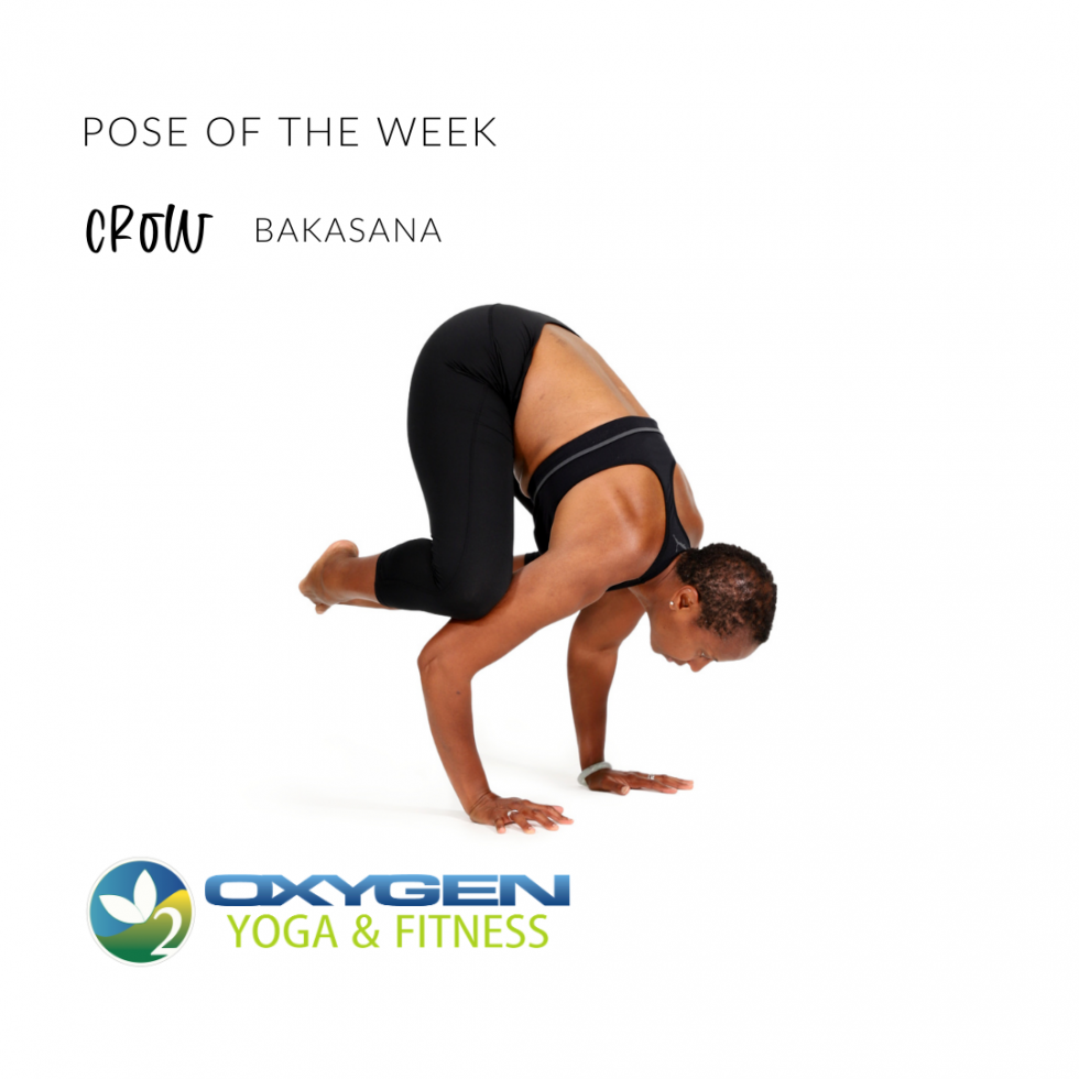 Pose of the Week Guide Bakasana, Crow Pose Oxygen Yoga Fitness