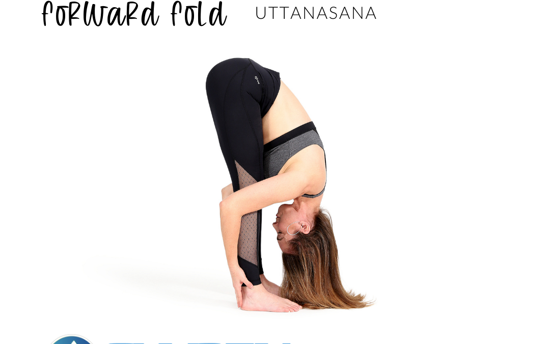 Uttanasana (Standing Forward Bend) | Yoga Selection