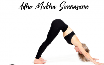 Pose of the Week Guide:  Downward Facing Dog/ Adho Mukha Svanasana