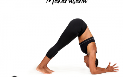 Pose of the Week Guide:  Dolphin Pose/ Makarasana