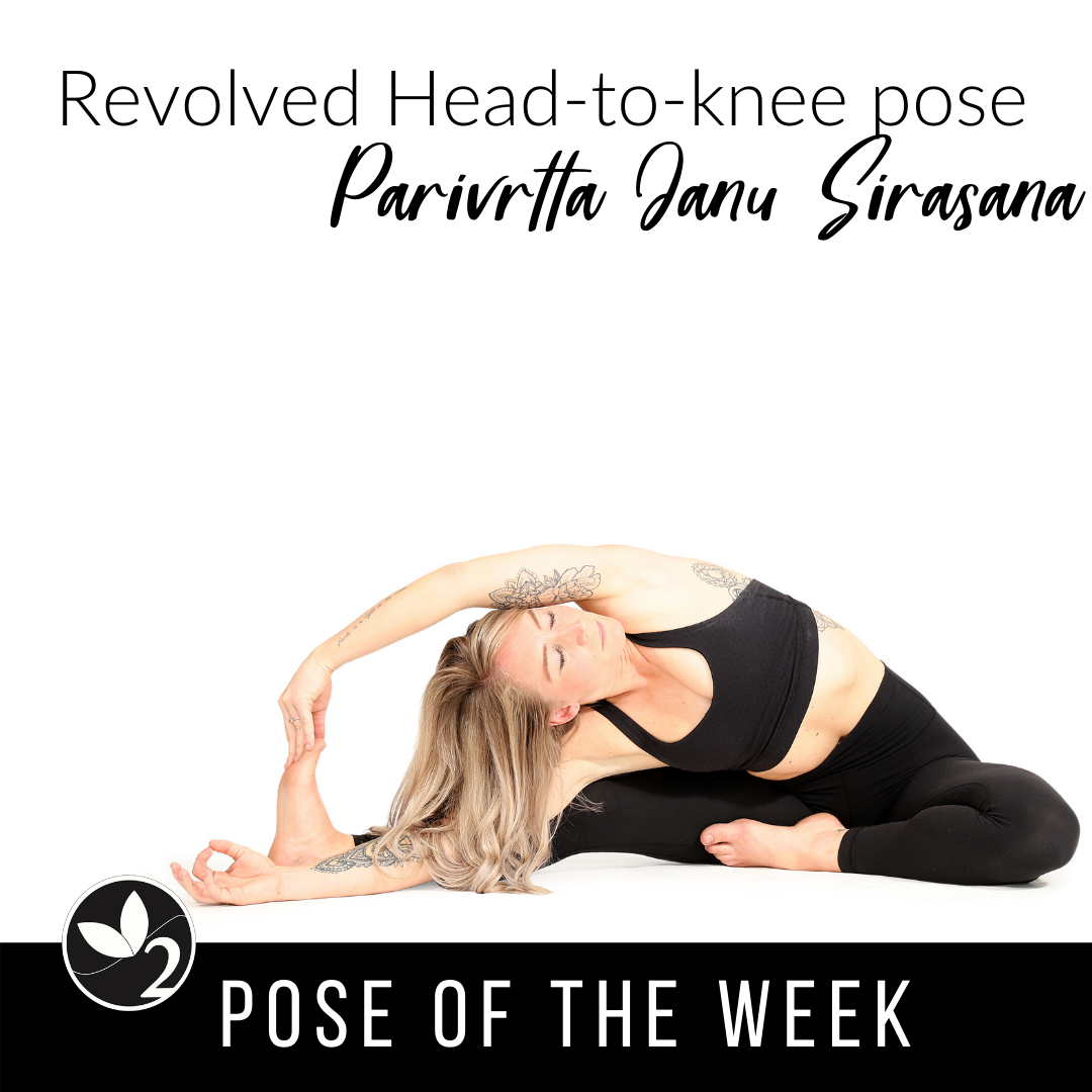 Two young women doing yoga asana revolved head to knee pose. Parivrtta Janu  Sirsasana Stock Photo - Alamy