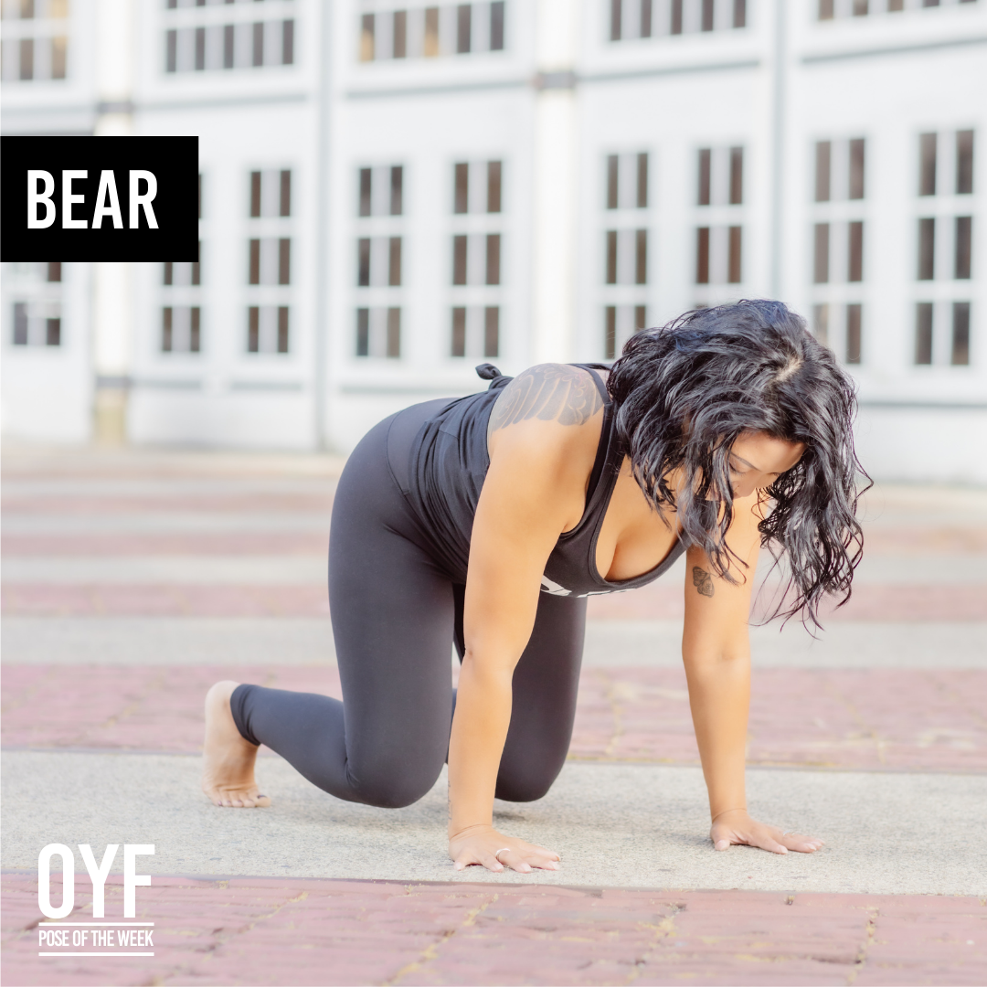 Premium Photo | 3d bear illustration sitting in yoga pose