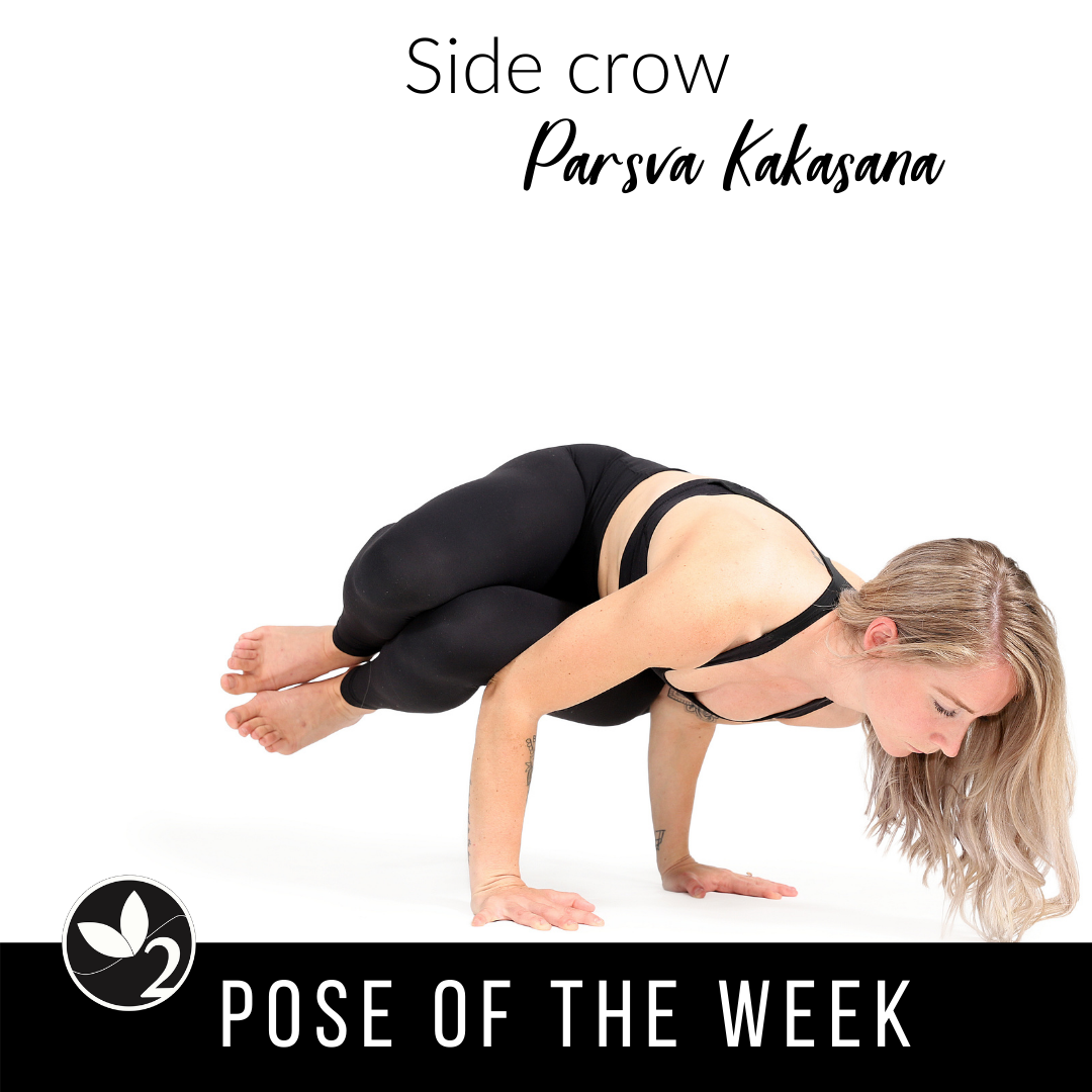 Crow Pose or Crane Pose: How to Practice Kakasana or Bakasana