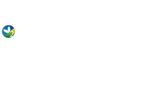 14 Days for $14